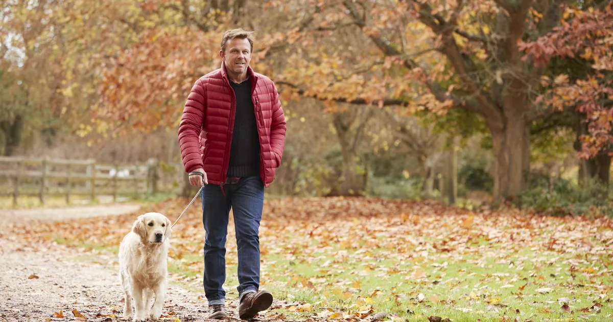 A man in a red jacket walking a golden retriever on a path covered in autumn leaves